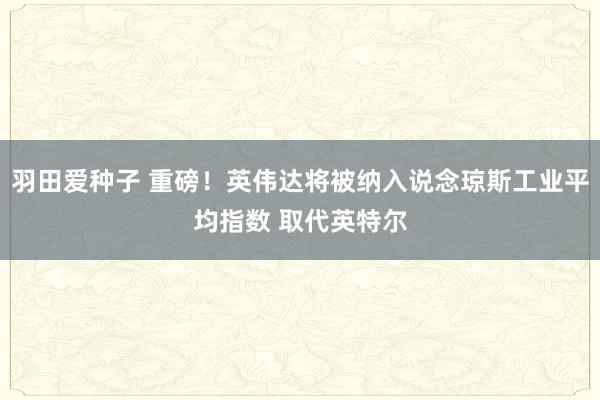 羽田爱种子 重磅！英伟达将被纳入说念琼斯工业平均指数 取代英特尔