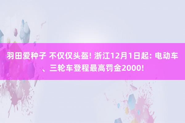 羽田爱种子 不仅仅头盔! 浙江12月1日起: 电动车、三轮车登程最高罚金2000!