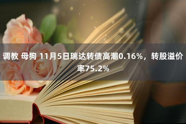 调教 母狗 11月5日瑞达转债高潮0.16%，转股溢价率75.2%