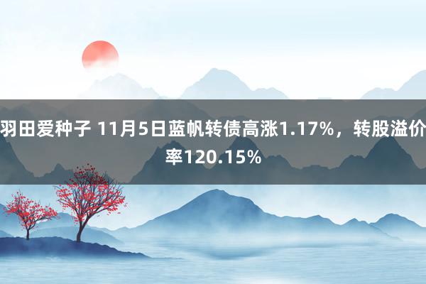 羽田爱种子 11月5日蓝帆转债高涨1.17%，转股溢价率120.15%