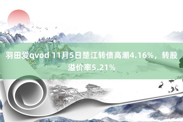 羽田爱qvod 11月5日楚江转债高潮4.16%，转股溢价率5.21%