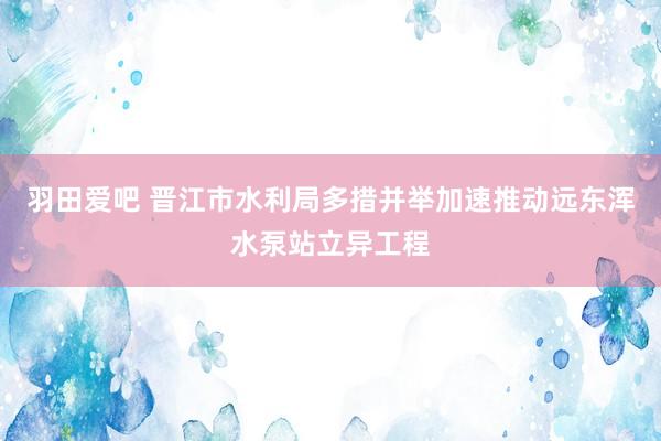 羽田爱吧 晋江市水利局多措并举加速推动远东浑水泵站立异工程