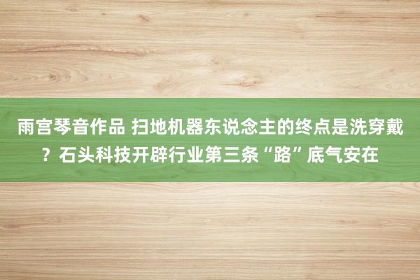 雨宫琴音作品 扫地机器东说念主的终点是洗穿戴？石头科技开辟行业第三条“路”底气安在