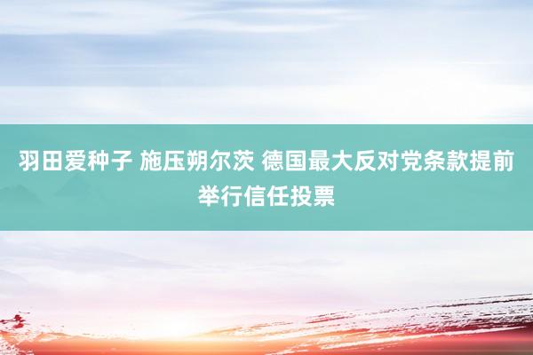 羽田爱种子 施压朔尔茨 德国最大反对党条款提前举行信任投票