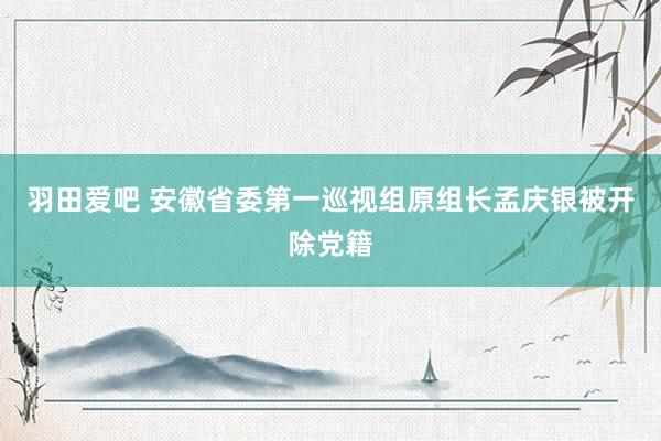 羽田爱吧 安徽省委第一巡视组原组长孟庆银被开除党籍