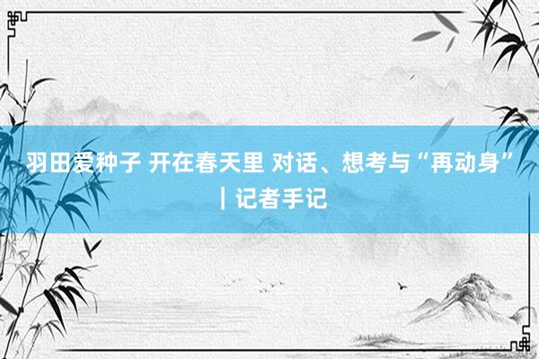 羽田爱种子 开在春天里 对话、想考与“再动身”｜记者手记