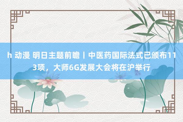 h 动漫 明日主题前瞻丨中医药国际法式已颁布113项，大师6G发展大会将在沪举行