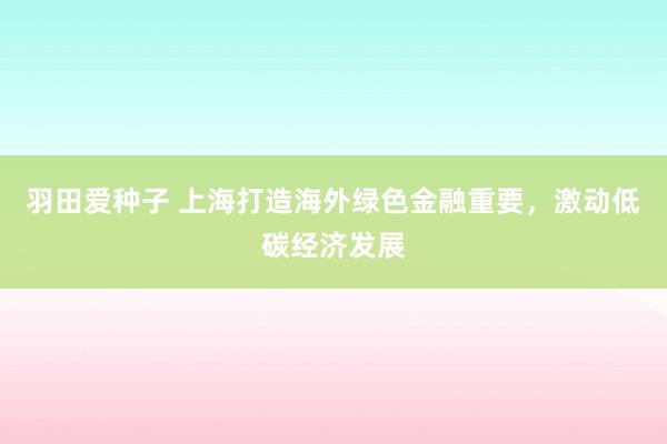 羽田爱种子 上海打造海外绿色金融重要，激动低碳经济发展