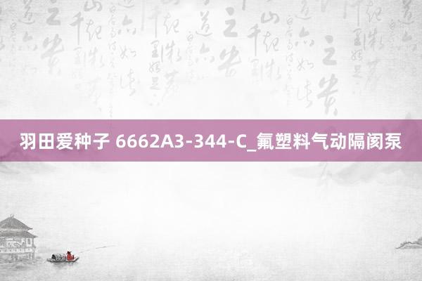 羽田爱种子 6662A3-344-C_氟塑料气动隔阂泵