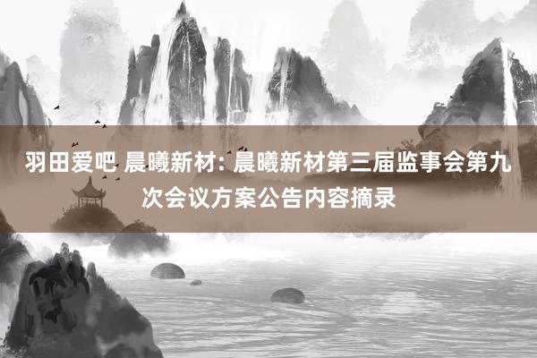 羽田爱吧 晨曦新材: 晨曦新材第三届监事会第九次会议方案公告内容摘录