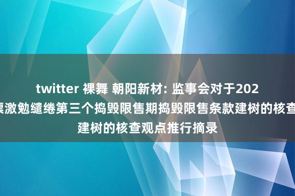 twitter 裸舞 朝阳新材: 监事会对于2021年截至性股票激勉缱绻第三个捣毁限售期捣毁限售条款建树的核查观点推行摘录