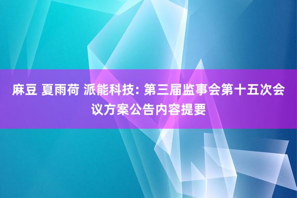 麻豆 夏雨荷 派能科技: 第三届监事会第十五次会议方案公告内容提要