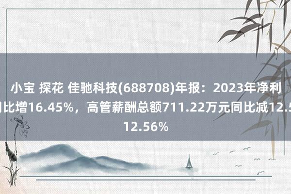 小宝 探花 佳驰科技(688708)年报：2023年净利润同比增16.45%，高管薪酬总额711.22万元同比减12.56%