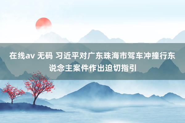 在线av 无码 习近平对广东珠海市驾车冲撞行东说念主案件作出迫切指引