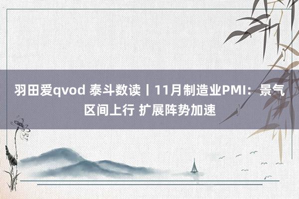 羽田爱qvod 泰斗数读丨11月制造业PMI：景气区间上行 扩展阵势加速