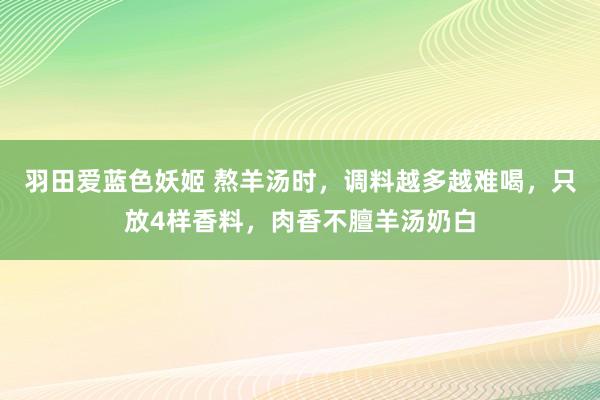 羽田爱蓝色妖姬 熬羊汤时，调料越多越难喝，只放4样香料，肉香不膻羊汤奶白