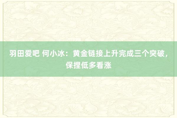 羽田爱吧 何小冰：黄金链接上升完成三个突破，保捏低多看涨