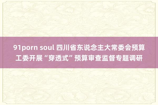 91porn soul 四川省东说念主大常委会预算工委开展“穿透式”预算审查监督专题调研