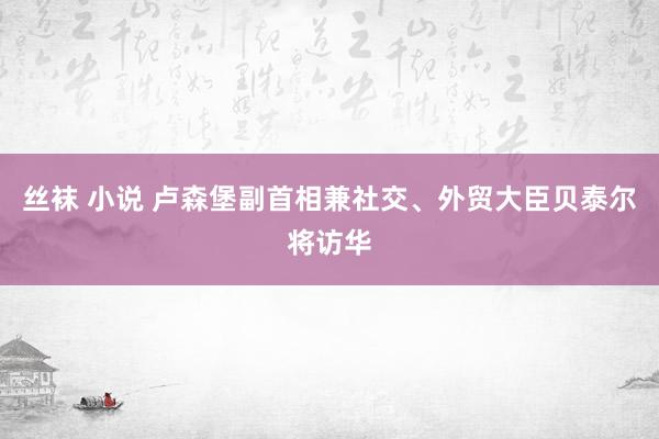 丝袜 小说 卢森堡副首相兼社交、外贸大臣贝泰尔将访华