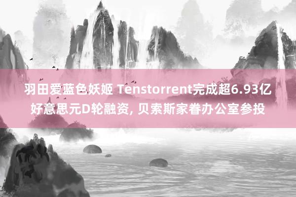 羽田爱蓝色妖姬 Tenstorrent完成超6.93亿好意思元D轮融资， 贝索斯家眷办公室参投