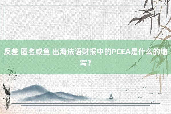 反差 匿名咸鱼 出海法语财报中的PCEA是什么的缩写？