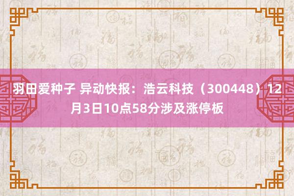 羽田爱种子 异动快报：浩云科技（300448）12月3日10点58分涉及涨停板