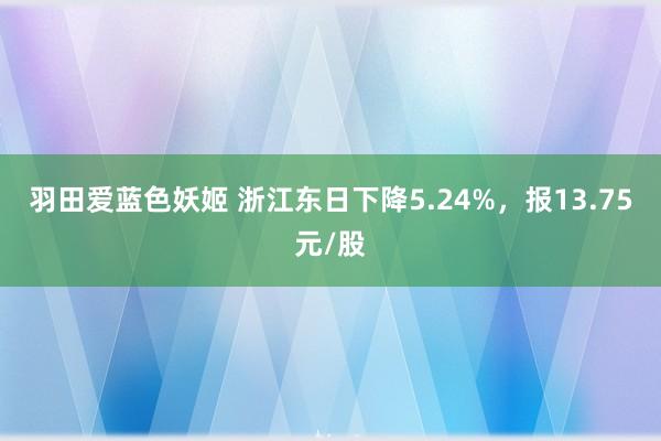 羽田爱蓝色妖姬 浙江东日下降5.24%，报13.75元/股