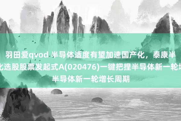 羽田爱qvod 半导体适度有望加速国产化，泰康半导体量化选股股票发起式A(020476)一键把捏半导体新一轮增长周期