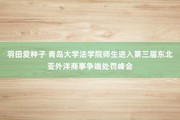 羽田爱种子 青岛大学法学院师生进入第三届东北亚外洋商事争端处罚峰会