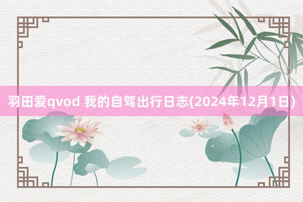 羽田爱qvod 我的自驾出行日志(2024年12月1日)