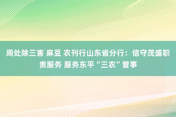 周处除三害 麻豆 农刊行山东省分行：信守茂盛职责服务 服务东平“三农”管事