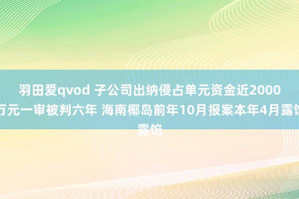 羽田爱qvod 子公司出纳侵占单元资金近2000万元一审被判六年 海南椰岛前年10月报案本年4月露馅