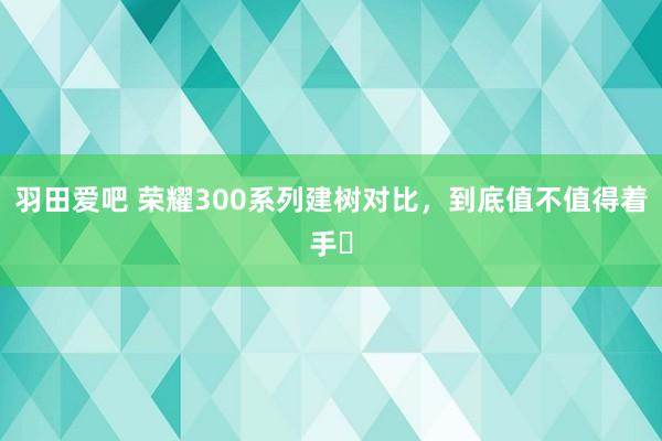 羽田爱吧 荣耀300系列建树对比，到底值不值得着手❓