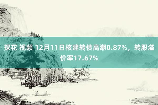 探花 视频 12月11日核建转债高潮0.87%，转股溢价率17.67%