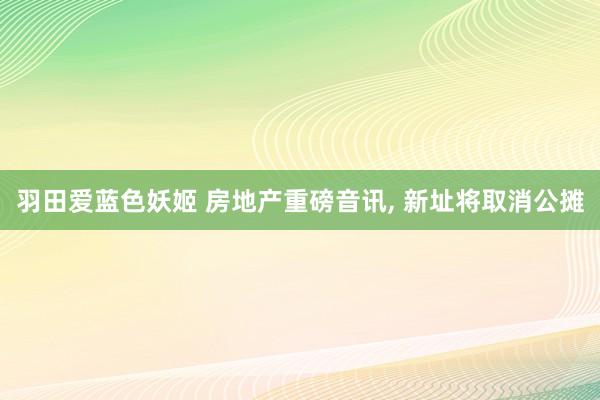 羽田爱蓝色妖姬 房地产重磅音讯， 新址将取消公摊