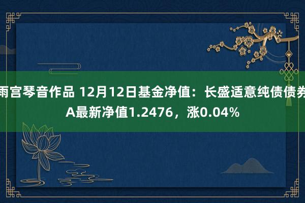 雨宫琴音作品 12月12日基金净值：长盛适意纯债债券A最新净值1.2476，涨0.04%