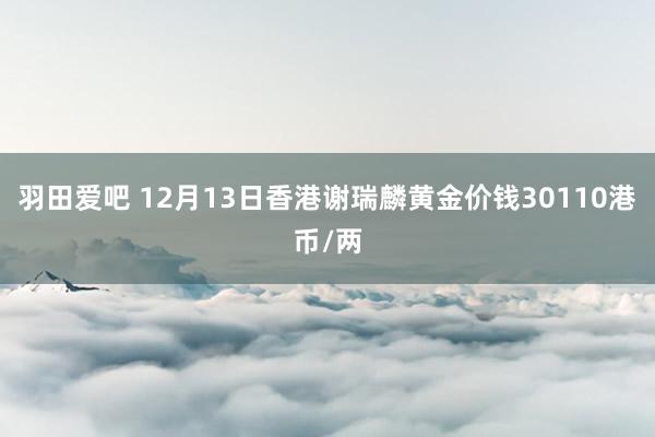 羽田爱吧 12月13日香港谢瑞麟黄金价钱30110港币/两