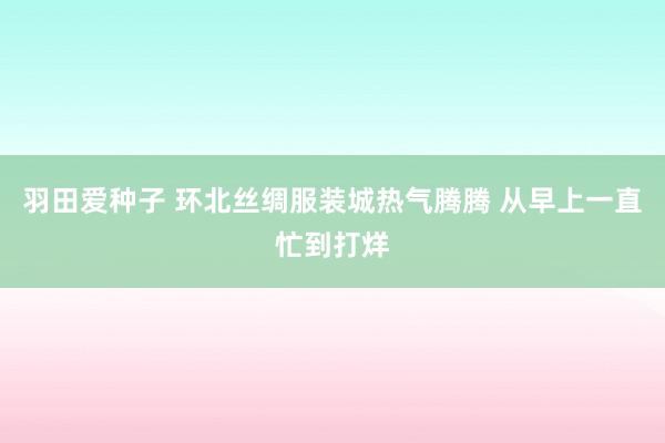 羽田爱种子 环北丝绸服装城热气腾腾 从早上一直忙到打烊