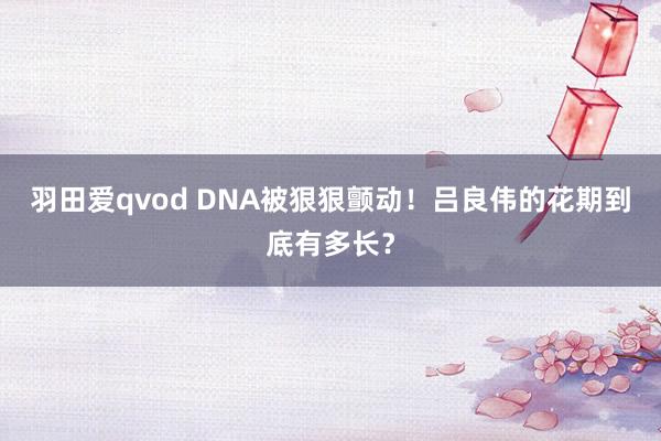 羽田爱qvod DNA被狠狠颤动！吕良伟的花期到底有多长？