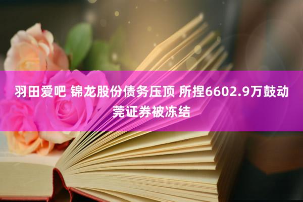 羽田爱吧 锦龙股份债务压顶 所捏6602.9万鼓动莞证券被冻结