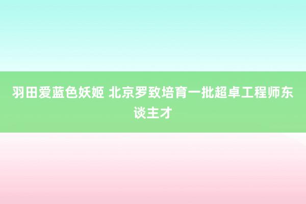 羽田爱蓝色妖姬 北京罗致培育一批超卓工程师东谈主才