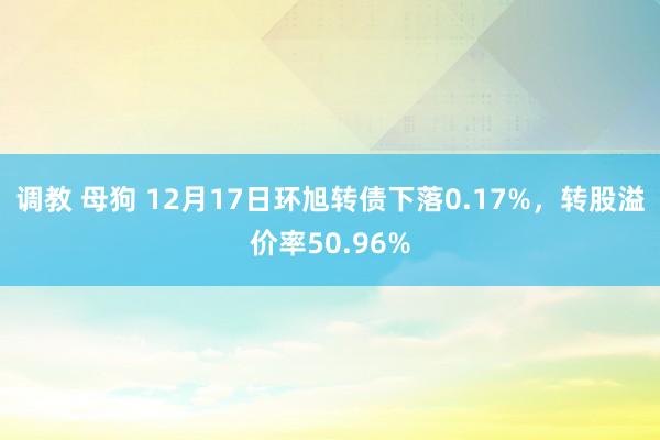 调教 母狗 12月17日环旭转债下落0.17%，转股溢价率50.96%