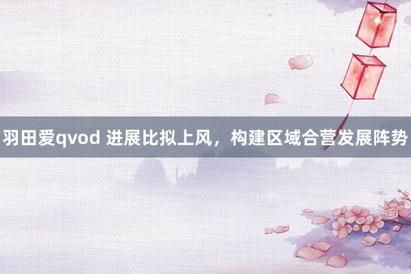 羽田爱qvod 进展比拟上风，构建区域合营发展阵势