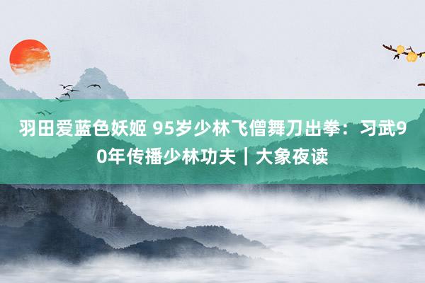 羽田爱蓝色妖姬 95岁少林飞僧舞刀出拳：习武90年传播少林功夫｜大象夜读