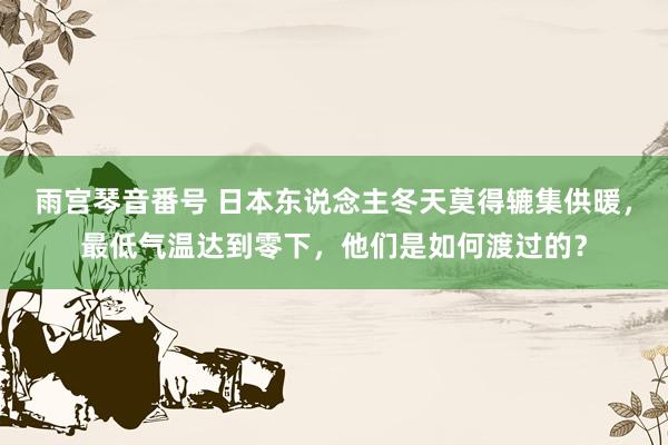 雨宫琴音番号 日本东说念主冬天莫得辘集供暖，最低气温达到零下，他们是如何渡过的？