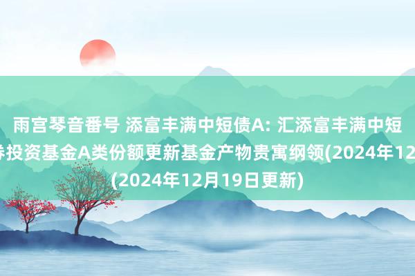 雨宫琴音番号 添富丰满中短债A: 汇添富丰满中短债债券型证券投资基金A类份额更新基金产物贵寓纲领(2024年12月19日更新)