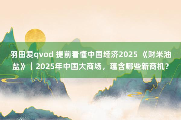 羽田爱qvod 提前看懂中国经济2025 《财米油盐》｜2025年中国大商场，蕴含哪些新商机？