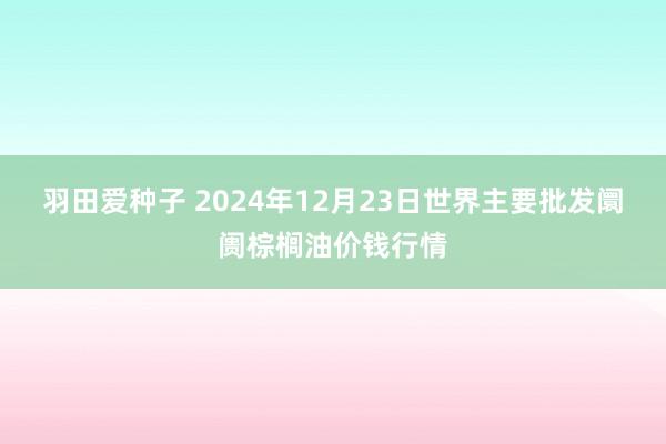 羽田爱种子 2024年12月23日世界主要批发阛阓棕榈油价钱行情