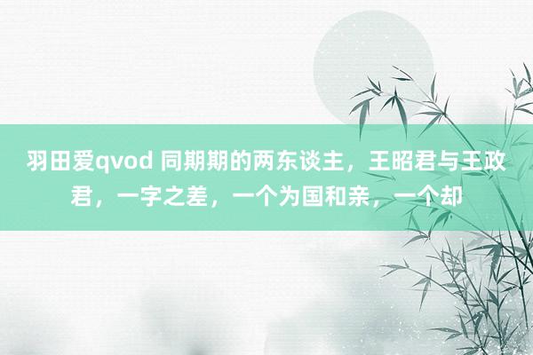 羽田爱qvod 同期期的两东谈主，王昭君与王政君，一字之差，一个为国和亲，一个却