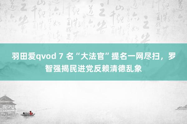 羽田爱qvod 7 名“大法官”提名一网尽扫，罗智强揭民进党反赖清德乱象